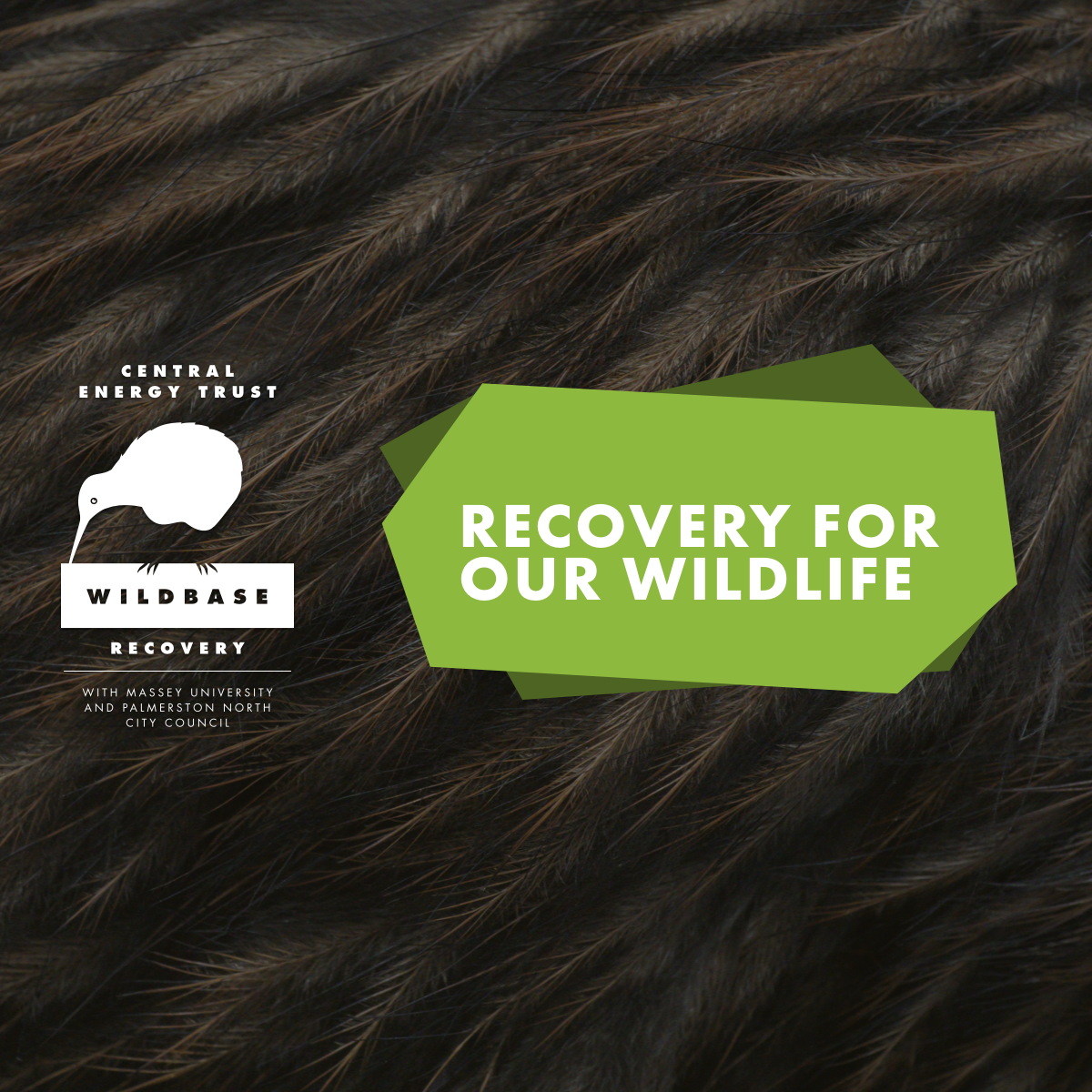 Wildbase Recovery Community Trust logo